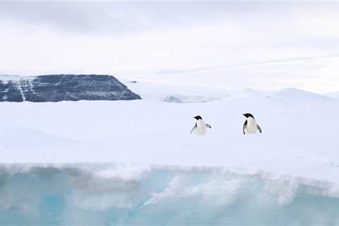 Why Now Is the Best Time to Plan and Book an Antarctica Sailing