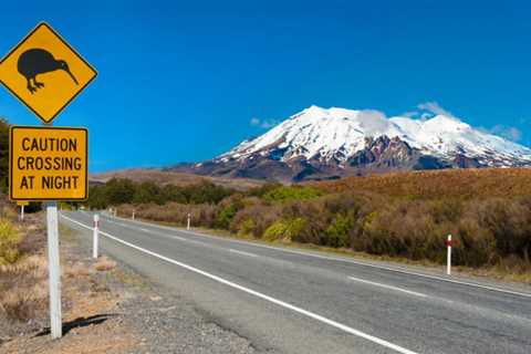 9 Trick Things to Find Out About Renting Out a Cars And Truck in New Zealand