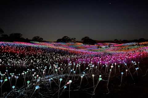 A New Field of Light Installation Will Bloom in Texas This Fall