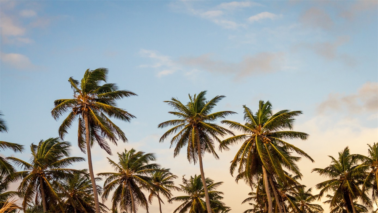 What to Do During A Trip To Coconut Point, Florida