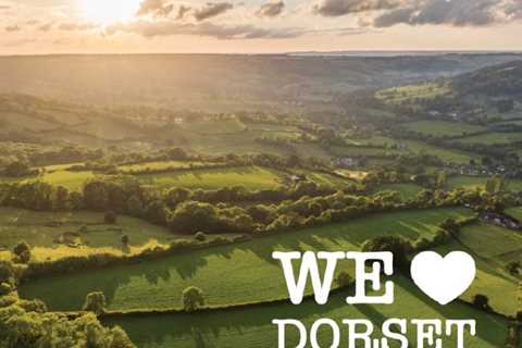 The Dorset Council and a Dorset National Park – Working in Partnership for all of Dorset