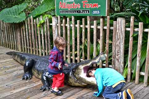 St. Augustine Alligator Farm: History and Exhibits – Over 100 Years of Love and Care