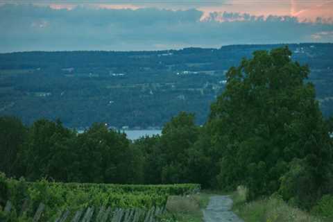 What is the oldest winery in the finger lakes?