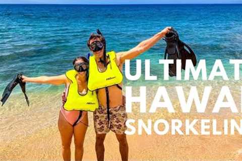 The Complete Hawaii Snorkeling Guide | Watch These 7 Tips Before You Snorkel