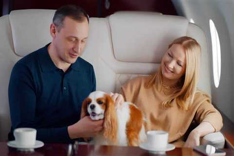 How to take your dog on a luxury holiday