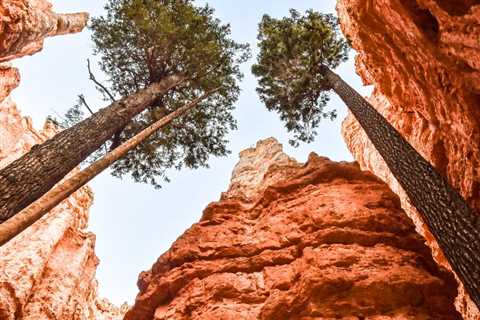 How Big Is Bryce Canyon National Park?