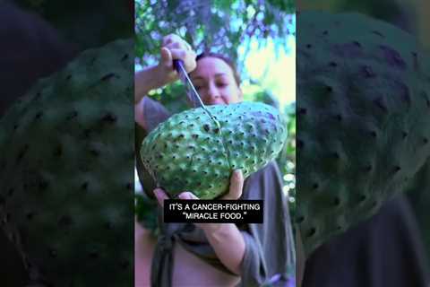 Magical Exotic Fruits of Costa Rica: Soursop