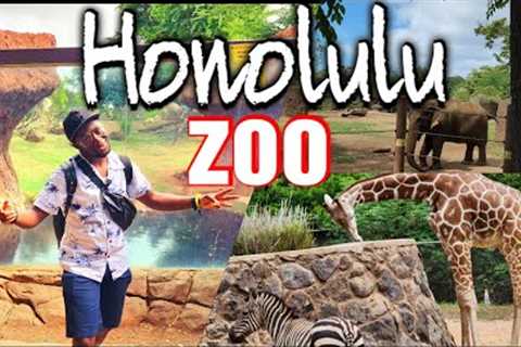 A day''''s trip to the Honolulu Zoo in Hawaii || Travel With The Kinng