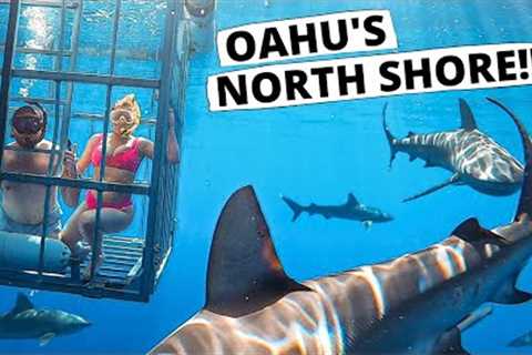 Hawaii: One Day in North Shore Oahu | Cage Dive w/ Sharks, Waimea Valley, Sunset Beach, & MORE!