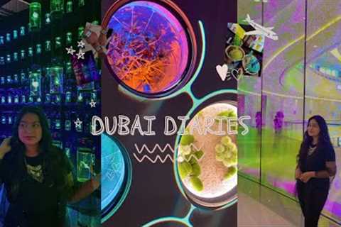 Dubai Diaries 🫧🇦🇪 Museum of the Future, Dubai Mall, Dinner Cruise 🫶🏼 | Raveeha Vlogs
