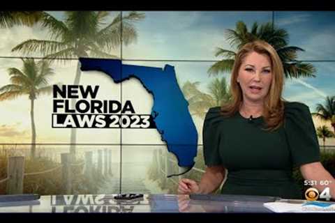 New Year Brings New Laws To Florida