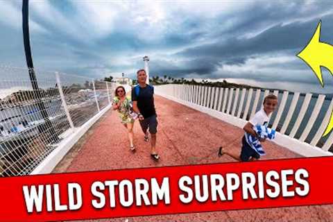 WILD STORM - Loreto Cruise Review: Once in a Lifetime Experience!