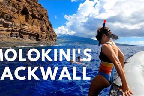Molokini Crater Snorkeling Tour (plus the famous back wall) | Get to Molokini in 15 Mins