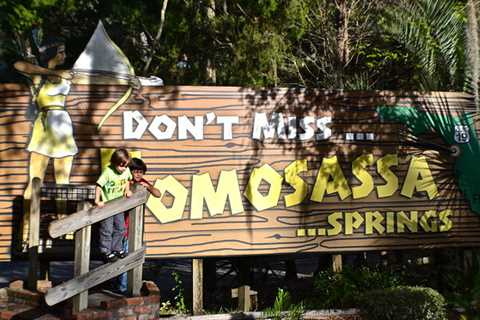 Homosassa Springs Wildlife State Park – Not Your Typical Park