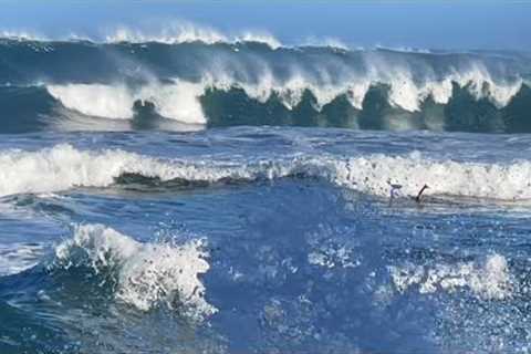 Surfing Haleiwa 12/26/2022 Ali''i Beach North Shore Oahu Hawaii
