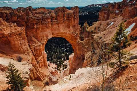 What and Where to Eat at Bryce Canyon?