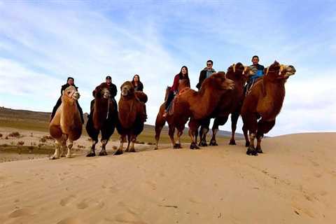 The Best 5 Days Tour in Central Mongolia (Plus) - Mongolian Tours