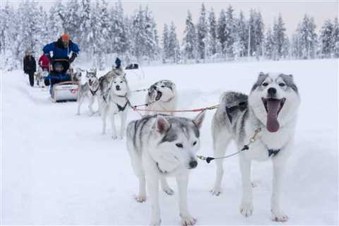 Finnish Lapland in Winter (Photo Essay)