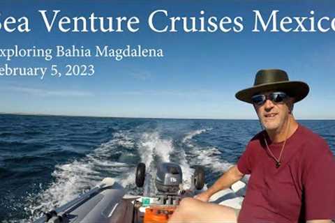 Sea Venture Cruises Mexico - Exploring Bahia Magdalena - February 5, 2023 - EP 149
