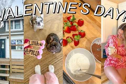 VALENTINE''S DAY TRIP VLOG | february vacation: taking the puppies to michigan!