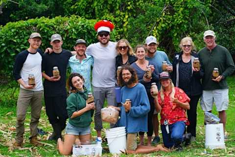 Hawaiʻi Mushroom Festival returns to Kapaʻau April 15 & 16