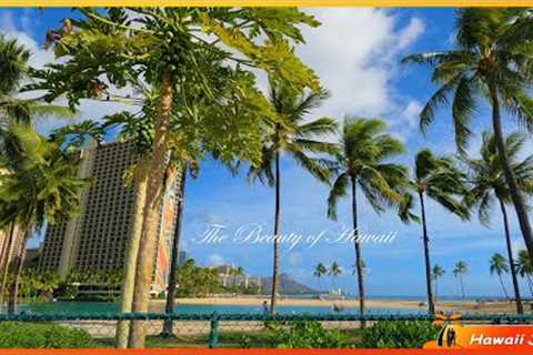 The Beauty of Hawaii 🌈 Relaxation 🌴 Hilton Hawaiian Village Lagoon ⛱️ Kahanamoku Beach 🌴 Hawaii