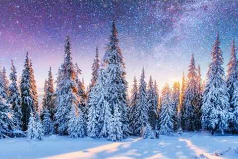 Peaceful Instrumental Christmas Music: Relaxing Christmas music The Christmas Pines Tim Janis