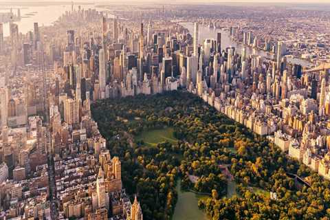 The Designers Behind the Iconic Central Park of New York City