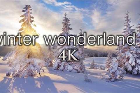 11 HOURS 4K: Winter Wonderland 2: Ambient 4K Nature Relaxation™ Film + Soothing Hang Drum Music