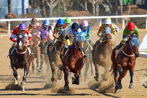 Horse Racing Stats: How To Use Them to Your Advantage