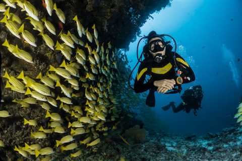 The Importance of Safety When Buying Diving Accessories