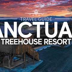 Elevate Your Retreat at the Sanctuary Treehouse Resort | A Comprehensive US Travel Guide