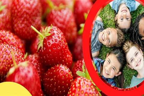 Capture the Sweetness of the Cape Coral Strawberry Festival