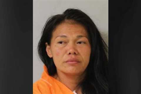 Hilo woman charged with felony abuse of 4-year-old, felony assault on elderly woman, and possession ..