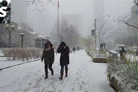First Snowfall This Season! Downtown Toronto Walk (Nov 15, 2022)