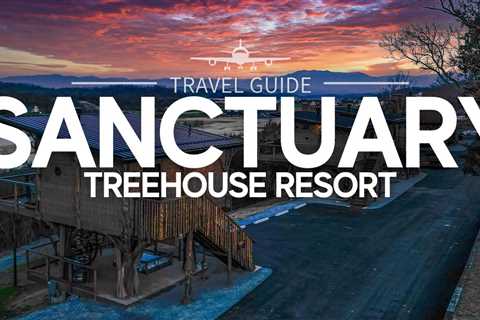 Elevate Your Retreat at the Sanctuary Treehouse Resort | A Comprehensive US Travel Guide