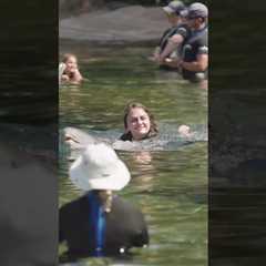 Experience the Magical Dolphin Swim at Discovery Cove | #shorts