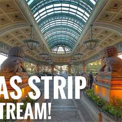 Feeling Nervous? Check out this Live Stream of the Vegas Strip!