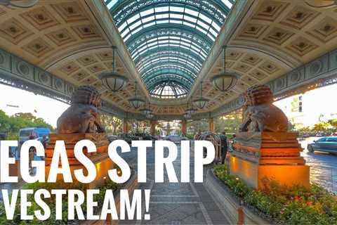 Feeling Nervous? Check out this Live Stream of the Vegas Strip!