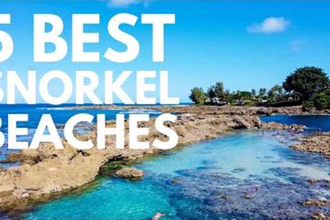 Where to Snorkel on Oahu, Hawaii | 5 Best Snorkel Spots on Oahu