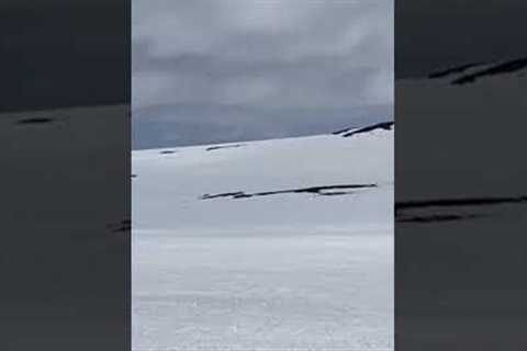 Travel video-What Norwegians do in Winter on top of Geilo-winter sports#shorts#norway #Geilo#bergen