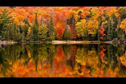 Autumn in New England, Peaceful Instrumental Music, Autumn Quiet Lake  By Tim Janis