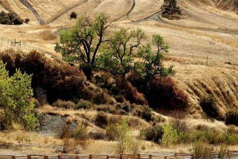 Exploring Off-Road Trails in Alameda County Parks: An Unforgettable Adventure