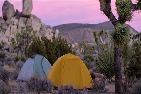 Camping in the Wildlands of Irvine, California: An Expert's Guide