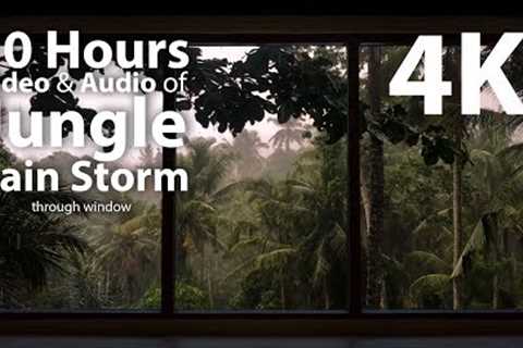 4K HDR 10 hours - Jungle Rain Storm - relaxation, calming, ambient, mindfulness