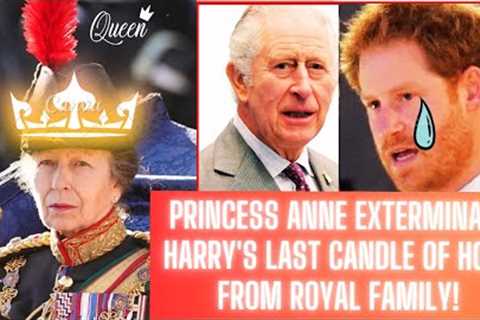 HARRY FROWNS IN JEALOUSY! King Charles BESTOW Anne With a Special Privilege Once Owned By Harry.