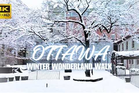 SNOW DAY - Ottawa Downtown in December (4K Park & City Walk Tour) Snowfall & City Sounds