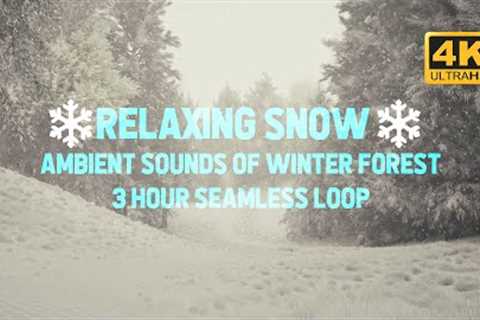 🔵❄️☃️ 4K Christmas Winter Forest Snowfall 3 Hour Loop | Meditation, Sleep  (No Music, just SFX) 🔈