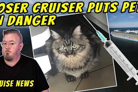 Pet Almost Killed on Cruise and Today''s Cruise News
