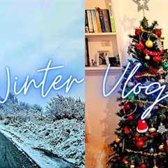WINTER HOLIDAY VLOG | Shopping, Decorations, Gifts, Concert🎄🎁